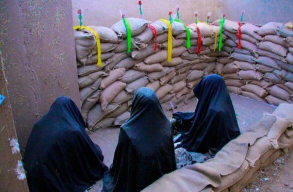 ارائه خدمات بیمه جانبازان