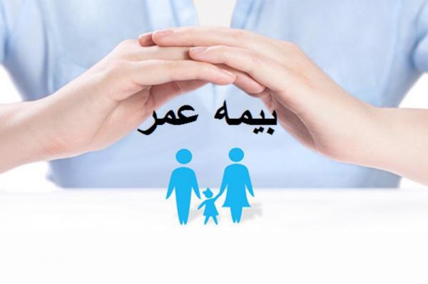 آشنایی با دفاتر بیمه برتر