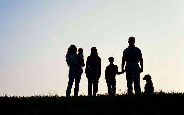 دلیل شهرت شرکت بیمه سامان