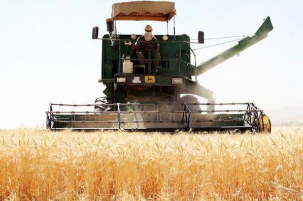 ارائه خدمات بیمه جهاد کشاورزی