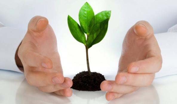 قانون بازنشستگی سازمان تامین اجتماعی به زبان ساده