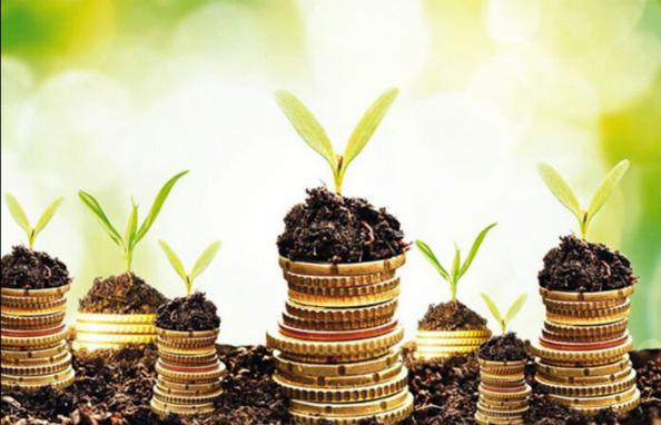 دفاتر معتبر بیمه جهاد کشاورزی